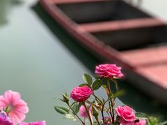 -丝绸小镇荻港古村