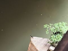 -九眼桥码头旧址