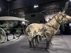 -秦始皇帝陵博物院-丽山园