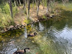 -长白岛森林公园