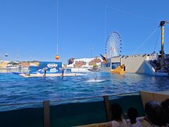 -秦皇岛乐岛海洋王国