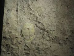 -世界恐龙谷景区