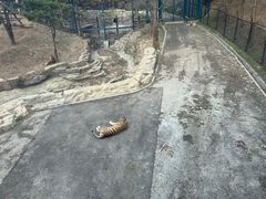 -大连森林动物园