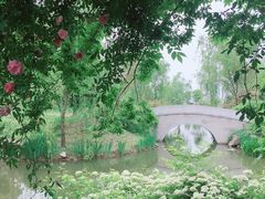 -鹅湖玫瑰文化园