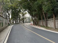 -上海佘山国家森林公园天马山园