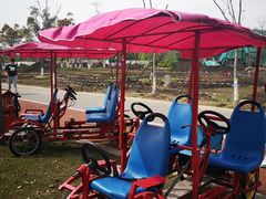 -上海长兴岛郊野公园