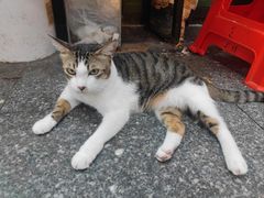 -珠光市场(文德南路)
