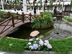 -上海鲜花港