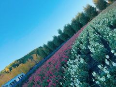 -富田农场