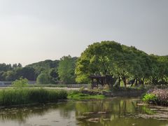 -月湖风景区