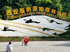 -西双版纳原始森林公园