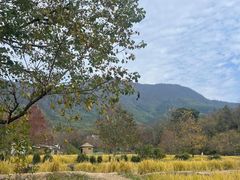-塔川景区