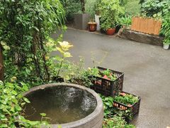 -阳光家常菜游客餐厅(千佛山店)