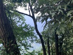 -青城山