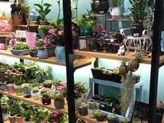 -妃比花艺(光启城时尚购物中心店)