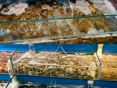 -仙螺岛海鲜自助餐厅(总店)