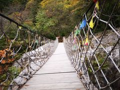 -青峰峡国家森林公园