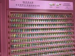 -赤坎古镇影视城