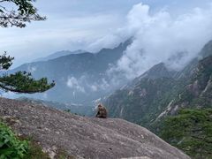 -黄山风景区