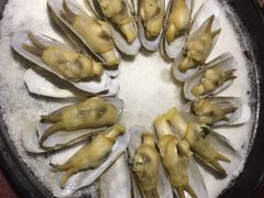 -青叶202都市餐厅(迪诺水镇店)