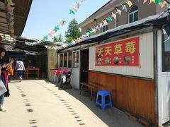 -青浦采草莓天天草莓园