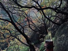 -嵖岈山风景区