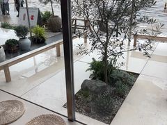-喜茶(珠海华发商都店)