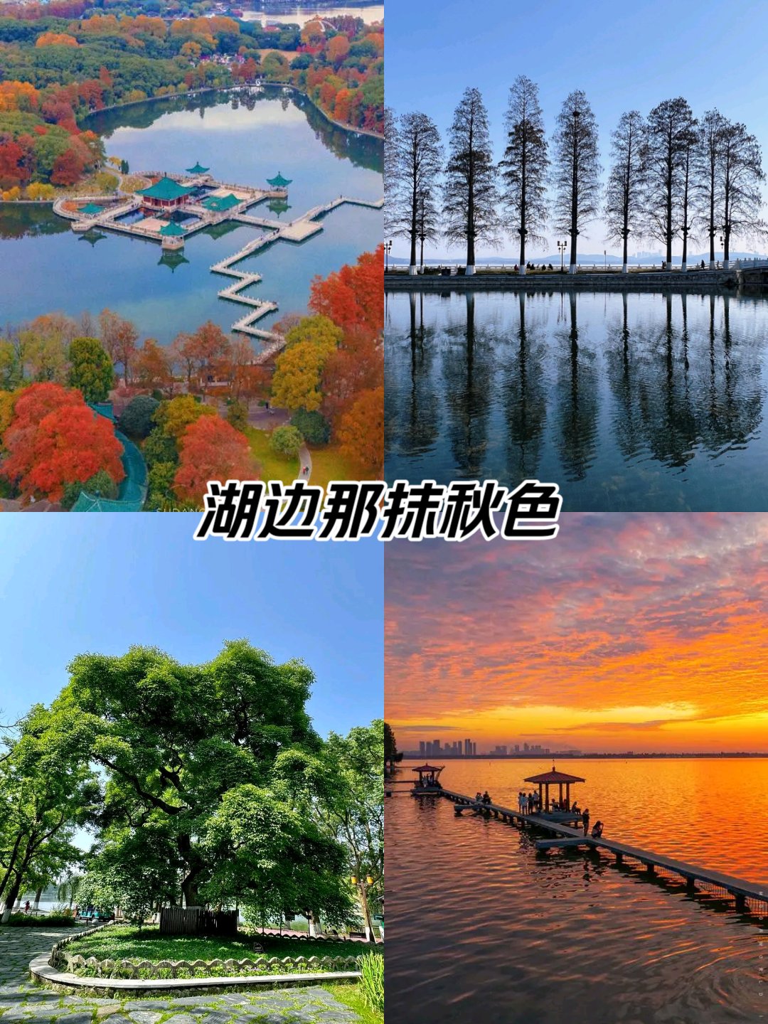 梨园听涛景区图片