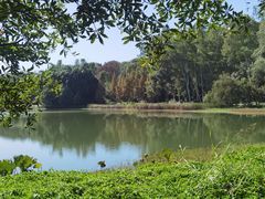 -福建鲤鱼洲酒店