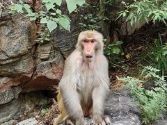 -河南宝泉旅游区