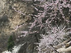 -狼牙山风景区