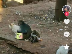 -昆明动物园
