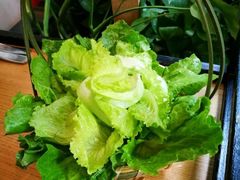 菜心-大头椰·椰子鸡火锅(新梦店)