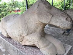 -茂陵博物馆