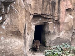 -成都动物园