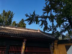 -成都市文殊院
