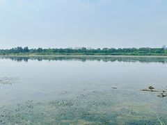-绿堤公园
