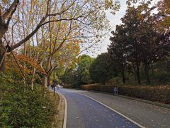 -上海吴淞炮台湾国家湿地公园