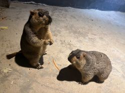 -酷嗒动物文化乐园(cutezoo西溪乐天城店)