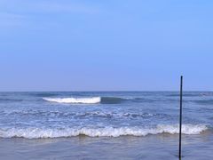 -日照海滨国家森林公园