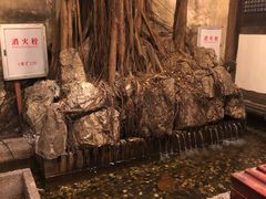 -文儒九号·闽菜馆(三坊七巷店)