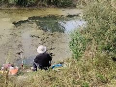 -长春市南湖公园