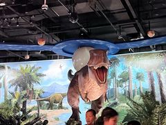 -陕西自然博物馆