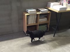-研途咖啡馆(健康路店)