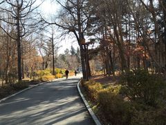 -长春市南湖公园