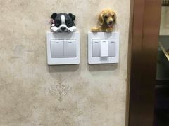 -宠爱国际动物医院· 猫科· 外科·中兽医(长白店)