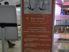 -Jumphai室内蹦极运动