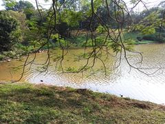 -东莞植物园