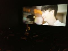 放映厅-嘉华国际影城(学清路店)