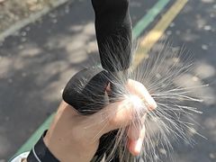 -福清灵石山国家森林公园